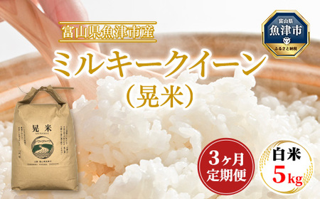 【3ヶ月定期便】【令和6年度米】「魚津のミルキークイーン（晃米）」5kg（白米） ｜新米 環境配慮 MK農産 お米 ブランド米 銘柄米 精米 ご飯 おにぎり 産地直送 甘み 粘り もちもち ※2024年10月下旬頃より順次発送予定 ※北海道・沖縄・離島への配送不可