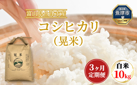 【3ヶ月定期便】【令和8年度米】【農家直送】「魚津のコシヒカリ（晃米）」10kg（白米） ｜新米 環境配慮 MK農産 お米 ブランド米 銘柄米 精米 ご飯 おにぎり 産地直送 甘み 旨味 香り ※2026年10月～発送