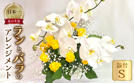 器に盛ったランとバラのアレンジ S 花 薔薇 胡蝶蘭 花