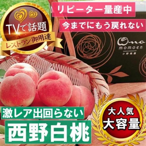 2027年発送先行受付《市場に出回らないレアな西野白桃》人気品種指定ギフト5年連続TV出演ブランド【配送不可地域：離島・北海道・沖縄県・中国・四国・九州】【1465270】