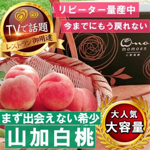 2027年発送先行受付【まず出逢えない幻の山加白桃】人気品種指定ギフト5年連続TV出演ブランド2kg【配送不可地域：離島・北海道・沖縄県・中国・四国・九州】【1465320】