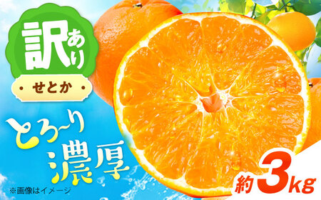 みかん 訳あり せとか 約3kg フルーツ 果物 みかん 訳あり