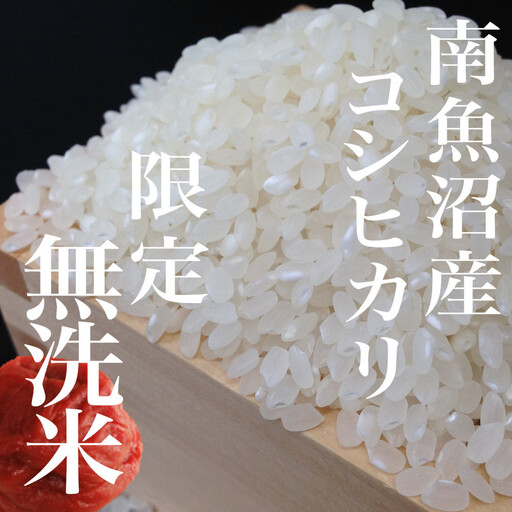 【令和8年　新米予約】【定期便】無洗米15Kg×全6回　越後南魚沼郷  南魚沼産コシヒカリ（5kg×3袋） | 定期便【2026年10月上旬より1ヶ月以内に順次発送予定】