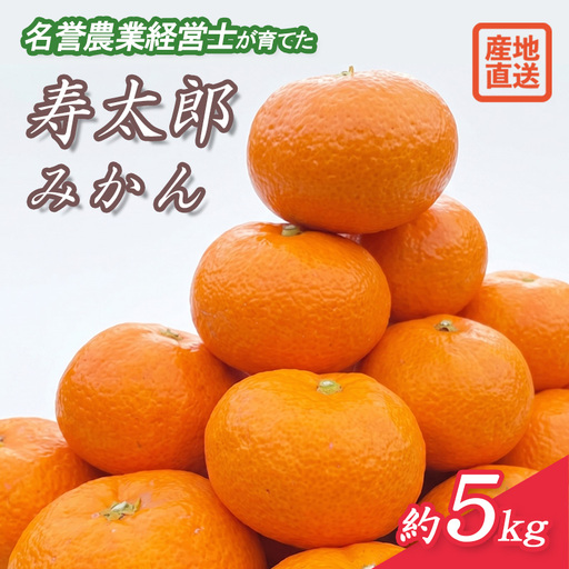 寿太郎 みかん 約 5kg M ～ 2L 温州 みかん
