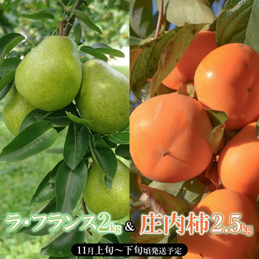 [令和8年産先行予約]山形県産 ラ・フランス 約2kg & 庄内柿 約2.5kgセット 産直あぐり K-847