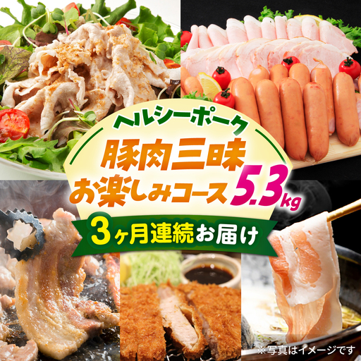 [5回定期便]ナルちゃんファーム 豚肉三昧お楽しみコース 総量5.3kg(豚肉しゃぶしゃぶ・スライス・焼肉・とんかつ計4kg ハムセット1.3kg)/ ロースハム ハム はむ ウインナー ういんなー フランク 豚ロース ロース ろーす 豚モモ モモ もも 豚バラ 焼肉 しゃぶしゃぶ スライス 定期便 / 大村市 / おおむら夢ファームシュシュ[ACAA075]