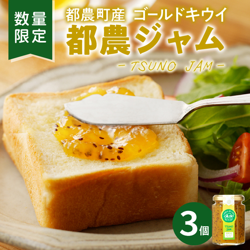TSUNO JAMゴールドキウイ(計3個) 加工食品 フルーツ 果物  国産_T043-0055