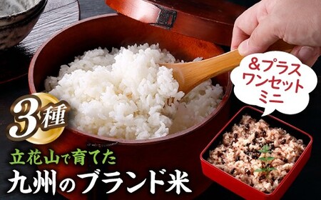 AC385.01.【新米】立花山で育てた九州のブランド米・味くらべ＆プラスワンセットミニ．米．お米．コメ．おこめ