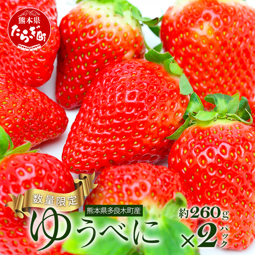【2026年11月中旬?順次発送】熊本県産 ゆうべに 約260g×2パック 4月終了 103-0001