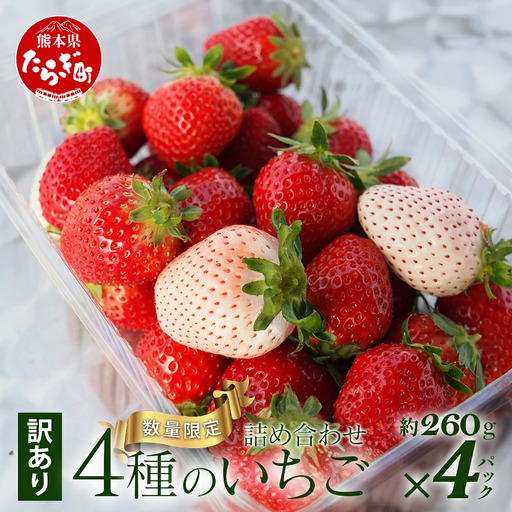 先行予約【訳あり】熊本県産いちご 詰め合わせ 約260g×4パック 産地直送 国産 新鮮 フレッシュ 果物 苺 イチゴ フルーツ 103-0010