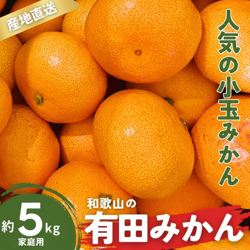 家庭用 有田みかん 和歌山 訳あり わけあり 小玉(2S,3Sサイズ混合) 5kg【9月下旬～1月下旬頃に順次発送予定】/ みかん フルーツ 果物 くだもの 有田みかん 蜜柑 柑橘【ktn010B】