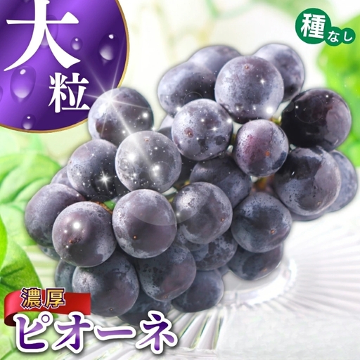ピオーネ 種なしピオーネ 約2.8kg 【甘さとみずみずしさが自慢】【2026年8月下旬～9月中旬頃発送予定】 / ピオーネ 種なしピオーネ ぶどう 葡萄 ブドウ フルーツ 果物 くだもの 人気 産地直送 【A249-frks142】