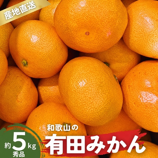 【1月発送】秀品 有田みかん 和歌山県産 S～Lサイズ 大きさお任せ 5kg / みかん フルーツ 果物 くだもの 有田みかん 蜜柑 柑橘【ktn002-1】