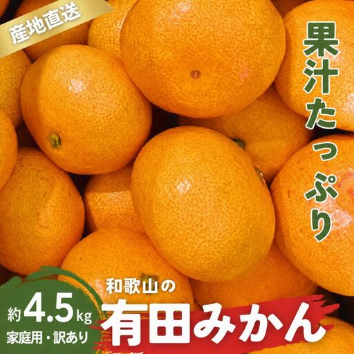 家庭用 有田みかん 和歌山 訳あり わけあり 大玉(2L,3Lサイズ混合) 4.5kg【11月上旬～1月下旬頃に順次発送】/ みかん フルーツ 果物 くだもの 有田みかん 蜜柑 柑橘【ktn011A】