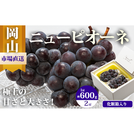 ぶどう 2026年 先行予約 ニュー ピオーネ 2房（1房600g以上 岡山県産 ピオーネ
