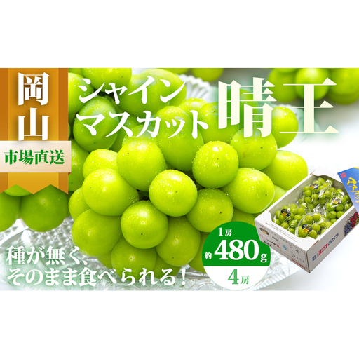 ぶどう 2026年 先行予約 シャイン マスカット 晴王 4房（1房480g以上）約2kg マスカット ブドウ 葡萄 岡山県産 国産 フルーツ 果物 ギフト 果物類 ぶどう 