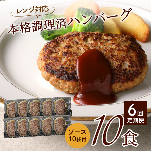 【6回定期便】本格調理済ハンバーグ10食 特製ソース付【001-0379】
