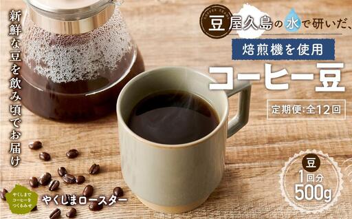 【定期便 全12回】【豆】屋久島の水で研いだ（焙煎機を使用した）コーヒー（1回分500g）