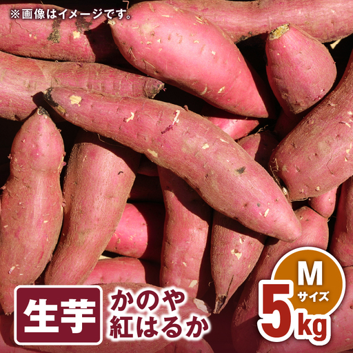 1673 かのや紅はるか 生芋 Mサイズ 5kg KN011-002-01 菓子