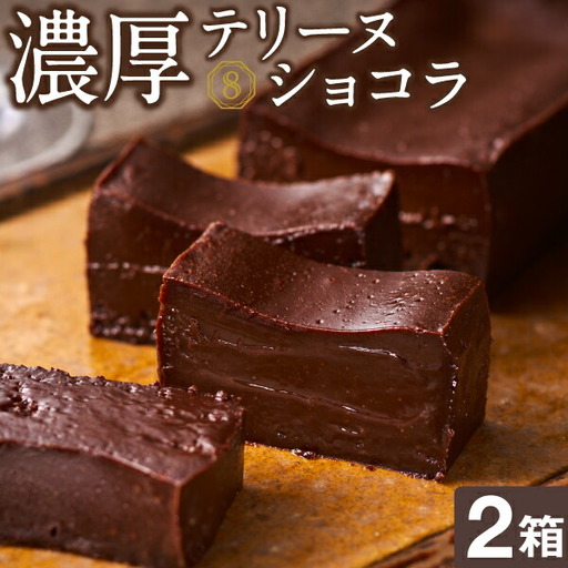 2027 オクタス テリーヌ ショコラ 2箱（ 280g × 2本 ） KN021-026-02 菓子 チョコレート ケーキ