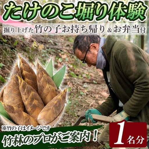 a931 ＜先行予約受付中！2027年3月中旬～4月中旬まで体験分＞竹の子堀り体験(1名様：昼食・タケノコ5kgお持ち帰り付)【夢竺山】 姶良市 たけのこ タケノコ 筍 竹の子 体験