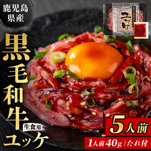 ユッケ 鹿児島県産 黒毛和牛 5人前 【LRプラスK】 i907