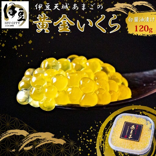 清流の女王！あまごの黄金イクラ（白醤油づけ）【サーモン 天城 川魚 紅姫 サツキマス 清流 湧き水 大型化 刺身 サーモンピンク 脂 清流の女王 釣り人 甘味 美味 絶賛 しずおか食セレクション 養殖魚 塩漬け 絶品 縁起 プレゼント】