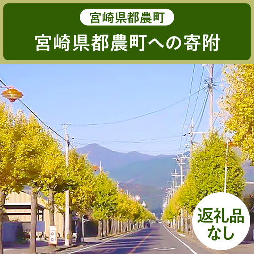 ≪返礼品なし≫宮崎県都農町への寄附【1口 10,000円】T000-001-10