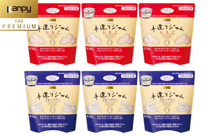 ジャム カンピー ザ・プレミアム 手造りジャム詰替え用500g いちご3 ブルーベリー3 計6個セット ジャム