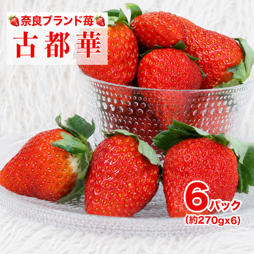 【先行予約】いちご 古都華 250g×６パック ことか いちご
