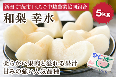 [2026年先行予約]「天果糖逸(てんかとういつ)」「天果糖逸」 新潟県産和梨 幸水 約5kg(10〜14玉) [8月下旬〜配送予定] こうすい 加茂市 えちご中越農業協同組合
