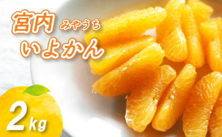 [2027年1月中旬頃から順次発送] 宮内いよかん 2kg | いよかん 伊予柑 柑橘 くだもの フルーツ 愛みかん 愛媛みかん ミカン フルーツ 果物 みかん 柑橘 甘いみかん