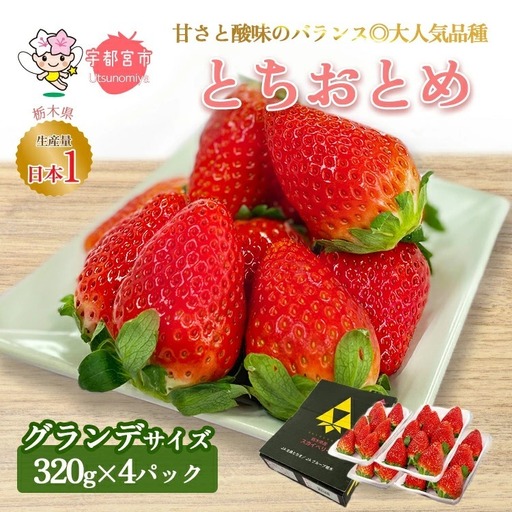 【先行予約】とちおとめ ご家庭用 320g×4パック 約1.2kg グランデサイズ いちご アフター対応あり いちご ※2027年1月～発送