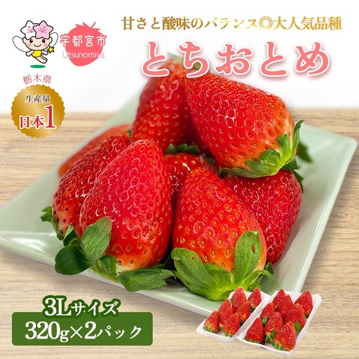 【先行予約】とちおとめ320g×2パック 3Lサイズ いちご アフター対応あり いちご ※2027年1月～発送