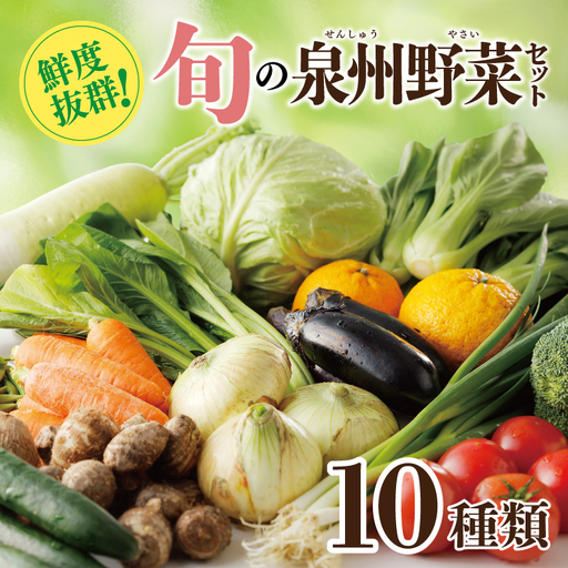 新鮮 野菜セット 10種類