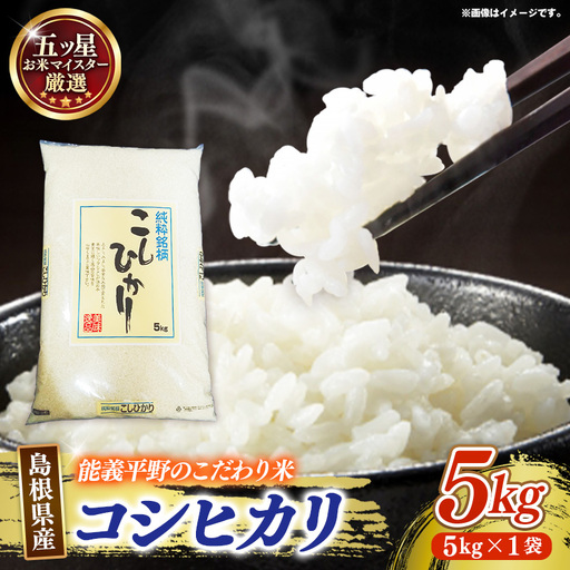 五ツ星お米マイスター厳選 能義平野のコシヒカリ 5kg 【令和7年産 精米 白米 ご飯 お米 こしひかり 美味しい 安心 安全 沼田米穀店 島根県 安来市】【価格変更】【14-NB-07】