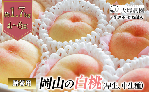桃 2026年 先行予約 贈答用 岡山の 白桃（早生、中生種）約1.7kg 4～6玉 岡山県 フルーツ もも 桃 モモ ピーチ 人気 新鮮 フルーツ 桃 フルーツ もも 桃 ギフト くだもの 桃 もも 果物 フルーツ 桃 もも 