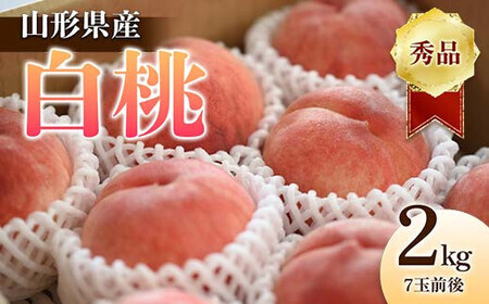 《2026年産 先行予約》山形県産 白桃 秀品 2kg（7玉前後） もも モモ 桃 デザート フルーツ 果物 くだもの 果実 食品 山形県 FSY-1243