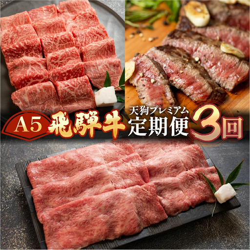 [定期便3回]飛騨牛 (ステーキ / すき焼き / 焼肉) [11-M]