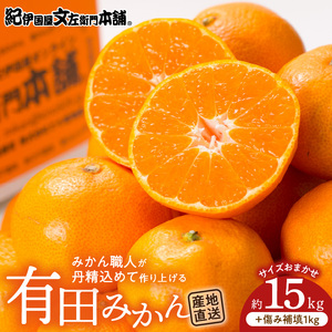 【2026年先行予約】有田みかん 約15kg(+傷み補填分1kg)=合計16kg【サイズおまかせ】 / 産地直送 / 紀伊国屋文左衛門本舗（お届け日指定不可）_V7440