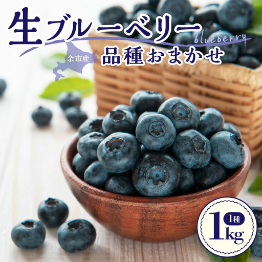 【2026年7月中旬頃より発送】青果ブルーベリーおまかせ1種1kg（500g×2パック）＜アイケイファーム余市＞ 生ブルーベリー ブルーベリー ベリー フルーツ_Y111-0010