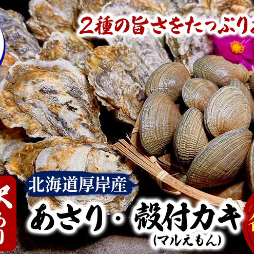 訳あり 厚岸産 あさり・牡蠣 各500g 砂抜き済み