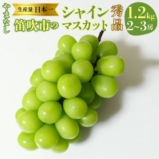 【2026年発送★先行予約】山梨県　笛吹産　シャインマスカット　1.2kg（2～3房）秀品 215-008-26y