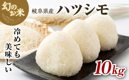 令和7年産 岐阜県産 ハツシモ 10kg お米