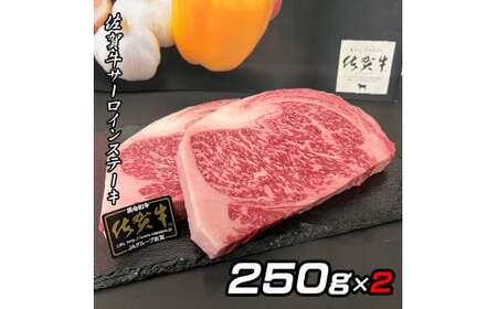 佐賀牛Ａ5サーロインステーキ250g×2枚 161-J775