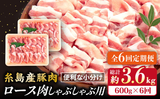 【全6回定期便】糸島産豚肉 ロース 肉 スライス しゃぶしゃぶ 用 600g 糸島市/糸島ミートデリ工房 [ACA327]