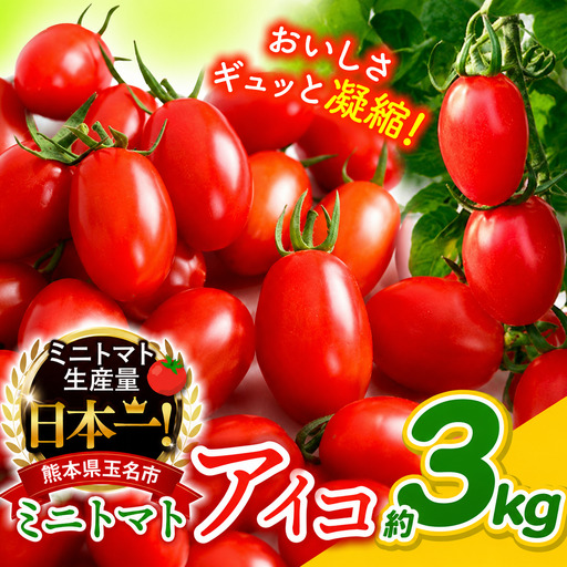 ミニトマト アイコ 約3kg  | サザキ農園