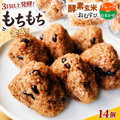 おにぎり 酵素玄米 おむすび 伊那市産米 プレーン 14個セット 冷凍 【011-22】