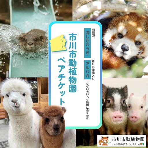 市川市動植物園ペアチケット [12203-0195]