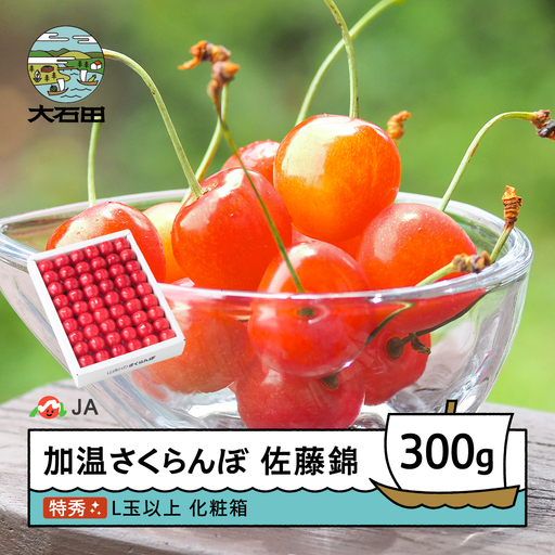 [先行予約] 加温 さくらんぼ 佐藤錦 特秀 L玉 化粧箱 300g 令和9年産